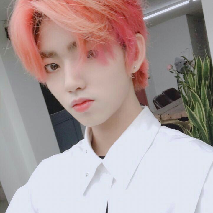 Popular profile picture of Jung Jinsung (1THE9) loved by fans