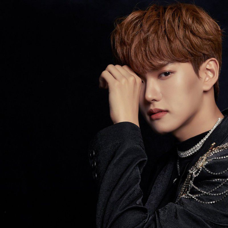 Signature photo of Donghyuk (BLANK2Y) capturing their charm