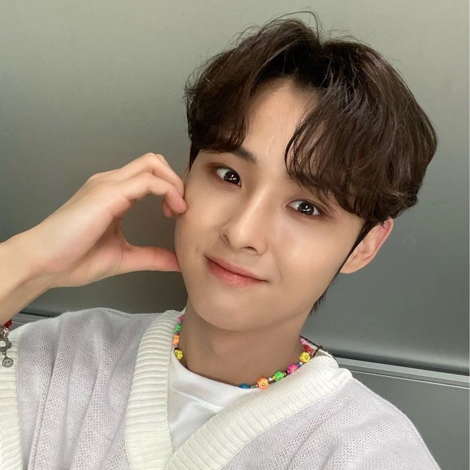 Shining profile picture of Mingyu (DKZ) on today's Choeaedol
