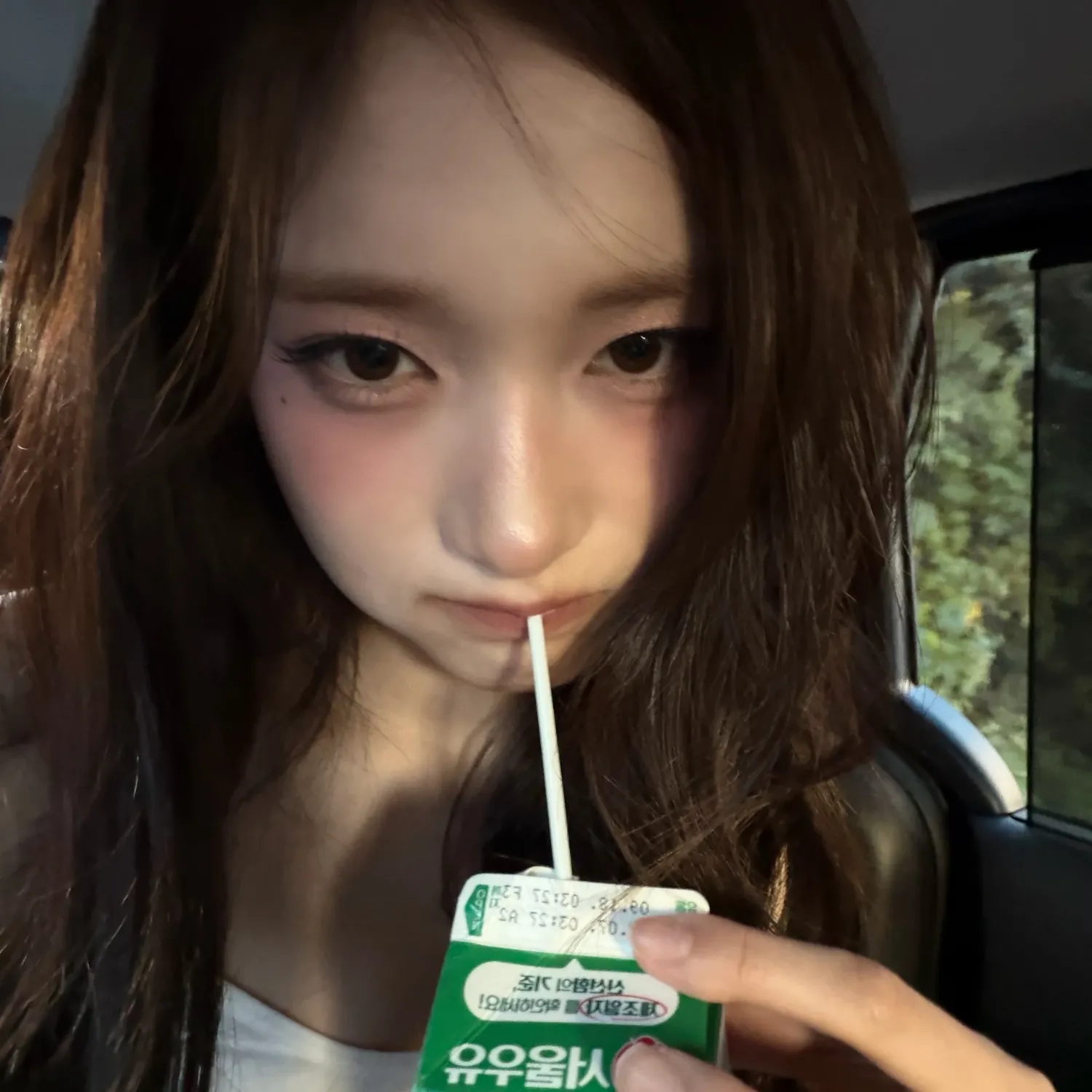 이서