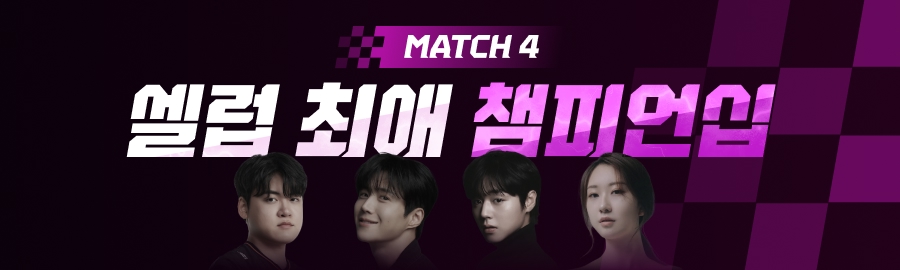 themepick_banner